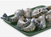 Shell Fish