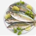 Seafood