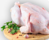 Chicken & Duck
