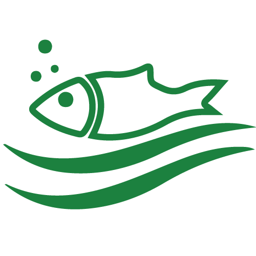 River & Fresh Water Fish Icon