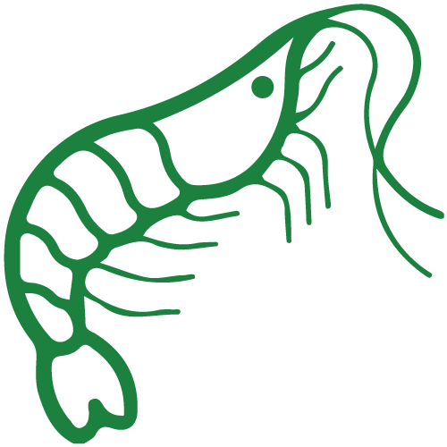 Shell Fish Icon