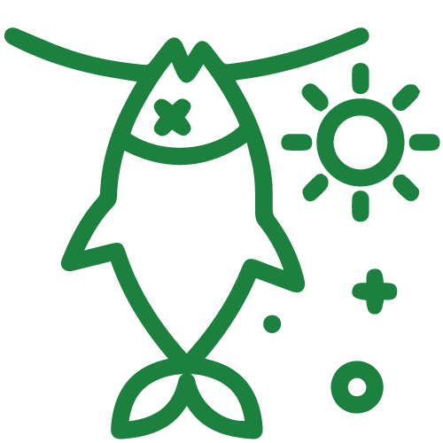 Dried Fish Icon