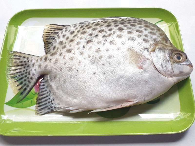 PAYRA FISH WHOLE ( চিত্রা মাছ )