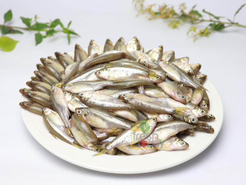 Deshi Mola Fish (দেশী মলা মাছ)