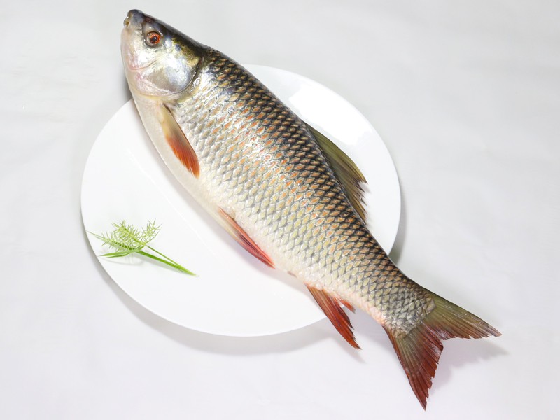 Deshi Rui Fish Whole. ( রাজশাহীর দেশী রুই মাছ)