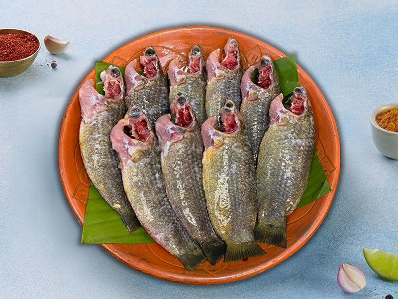 Deshi Koi Fish Ready To Cook (Size: Regular)