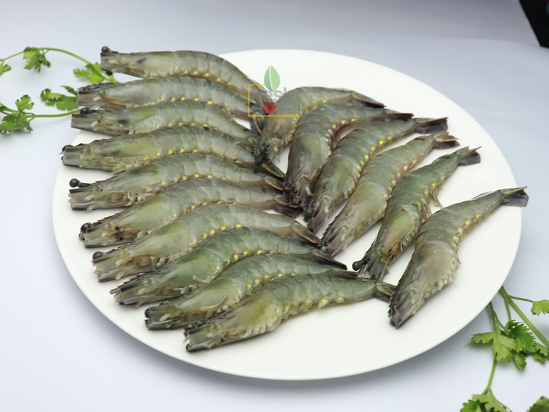 Bagda Shrimp Dressed & Process (রেডি টু কুক)