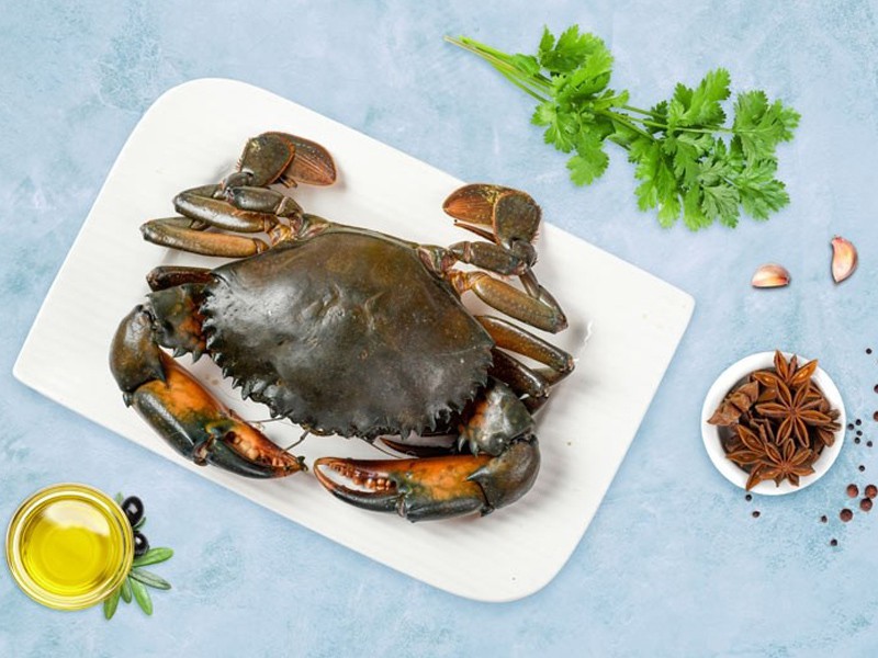 Mud Crab (সুন্দর বনের কাকড়া)