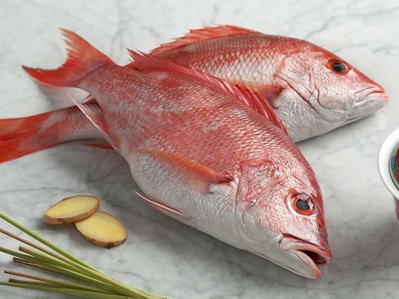 Red Snapper whole (Size: 1.5kg)