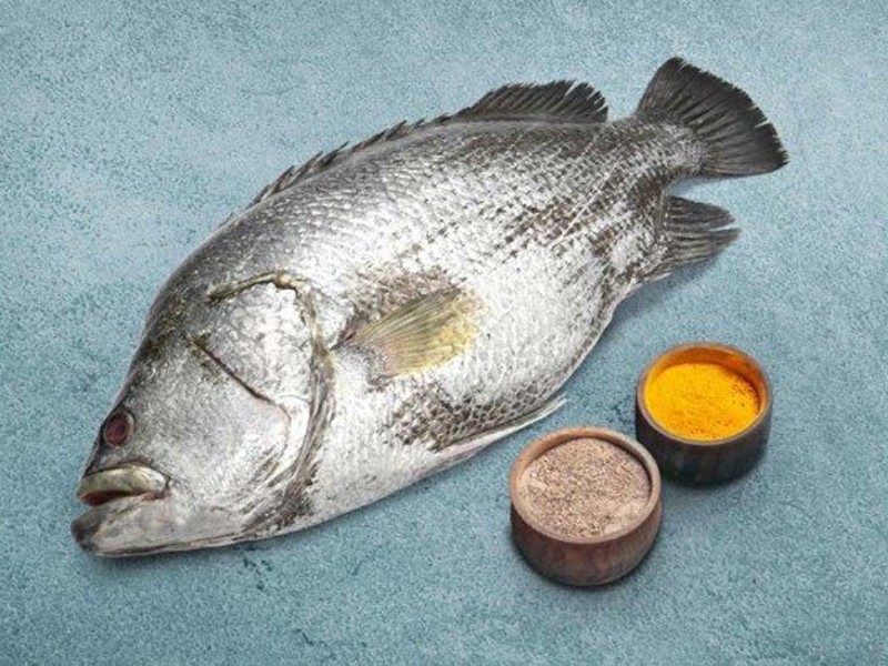 Black Snapper Whole (সামুদ্রিক কৈ কোরাল মাছ )