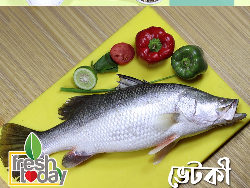 River Koral Fish Whole (Size: 1kg)