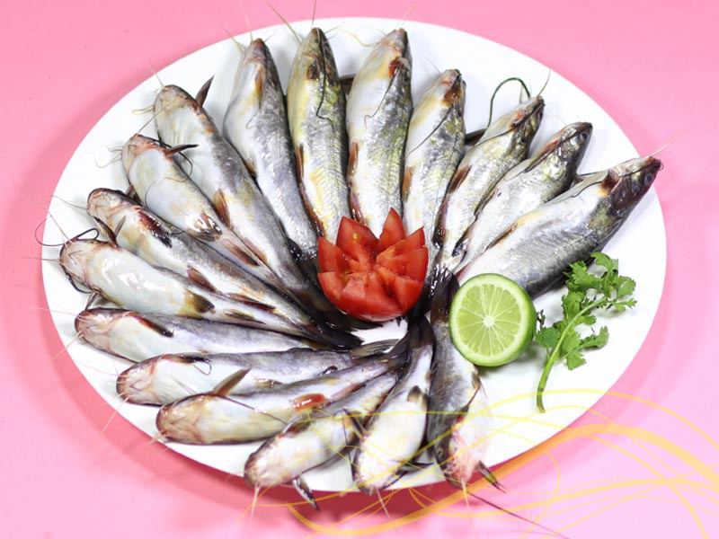 Sundarban River Tengra Fish Whole (সুন্দর বনের নদীর টেংরা মাছ)