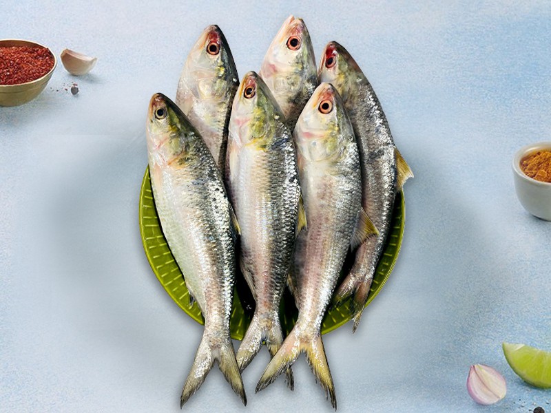 Hilsha Fish Small (ছোট ইলিশ মাছ)
