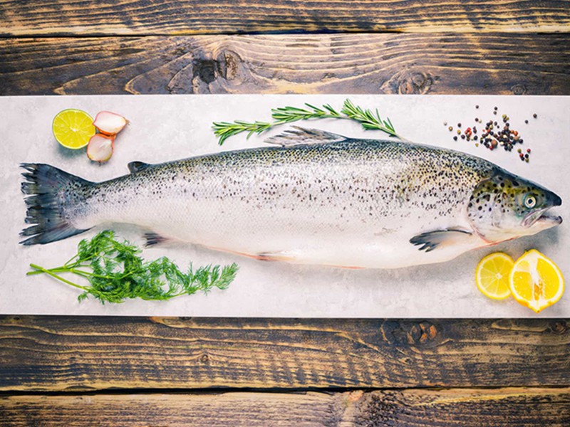 Salmon Fish Whole
