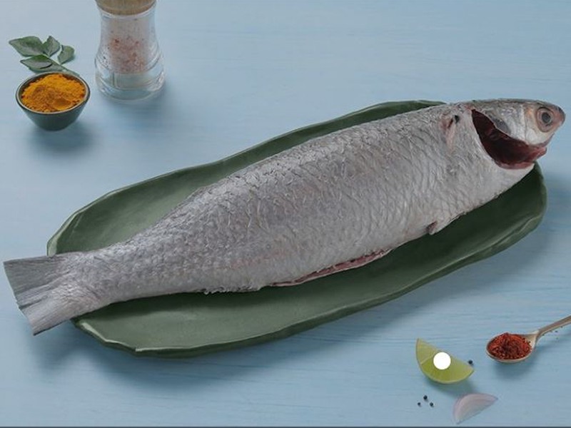River Bhangor Fish (Belly Clean & Dressed)