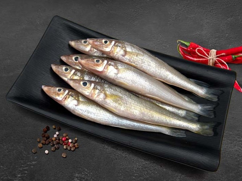 River Tular Dandi Fish (নদীর তুলের ডান্ডি মাছ)